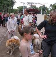 Tivoli hundeparade Eurasier 2002