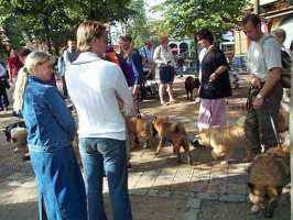 Tivoli hundeparade Eurasier 2002