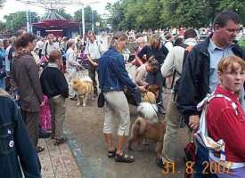 Tivoli hundeparade Eurasier 2002