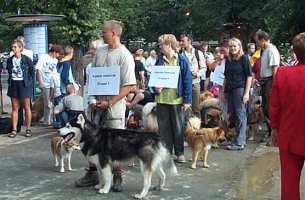 Tivoli hundeparade Eurasier 2002