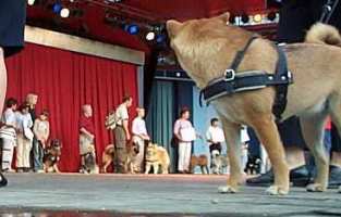 Tivoli hundeparade Eurasier 2002