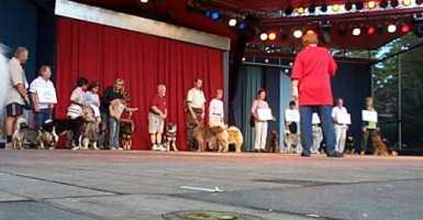 Tivoli hundeparade Eurasier 2002