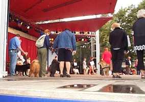 Tivoli hundeparade Eurasier 2002