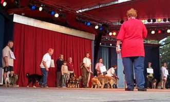 Tivoli hundeparade Eurasier 2002